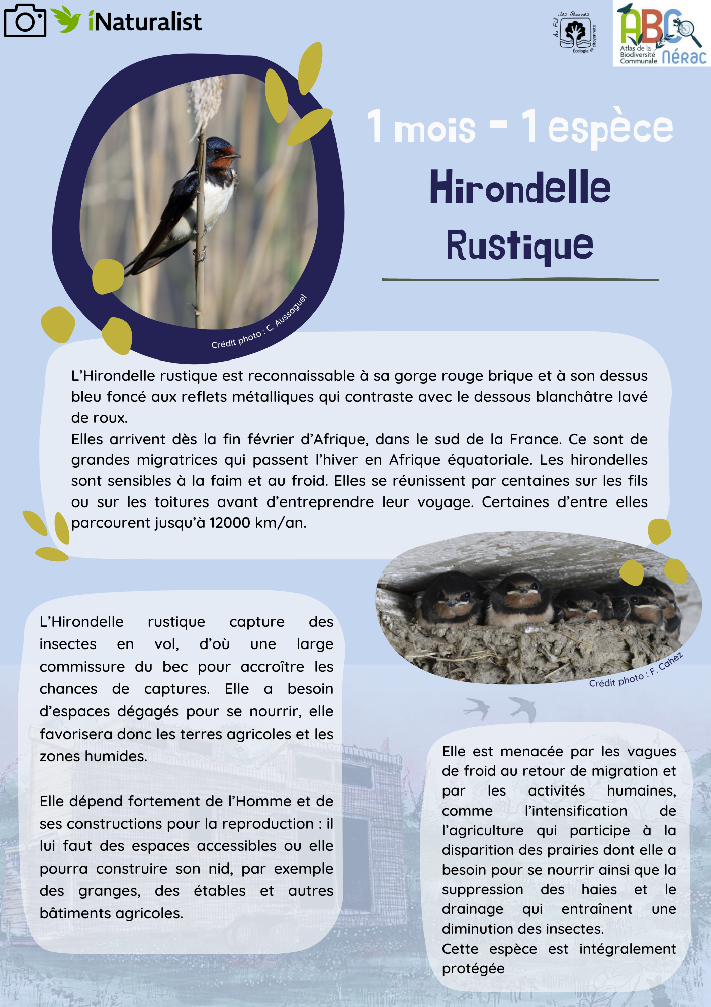 Le Grosbec janvier 2023
