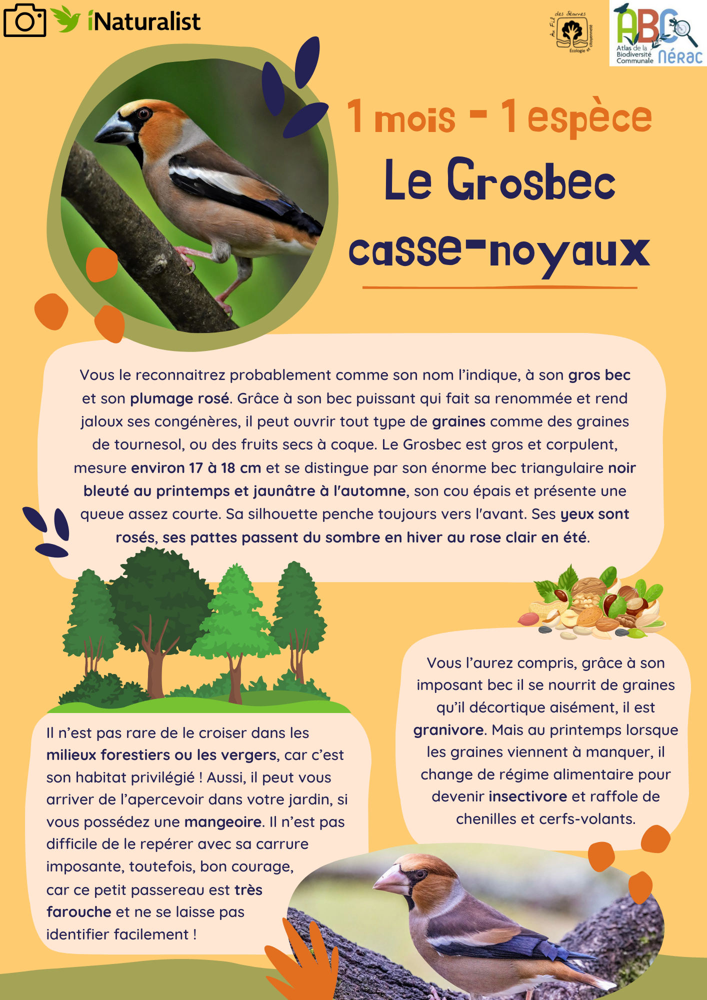 Le Grosbec janvier 2023