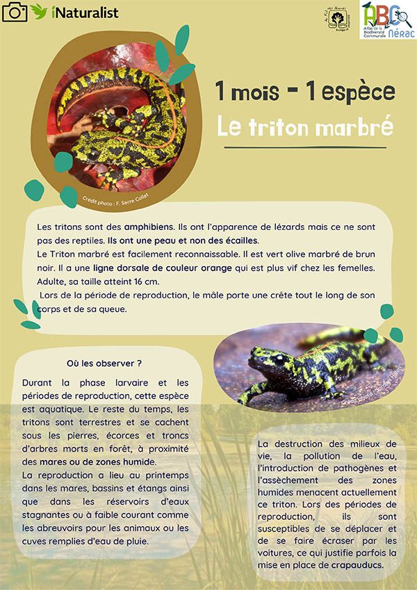 Le Grosbec janvier 2023