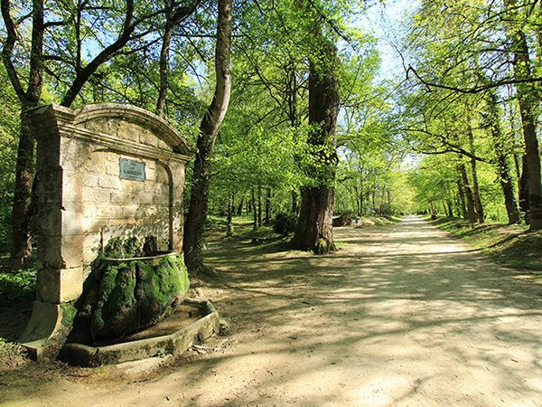 C2c Fontaine des Marguerite Sébastien Carion