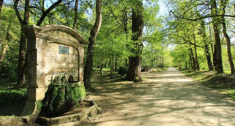 Laissez vous conter les jardins du Roi