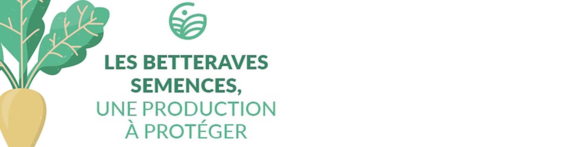 Soutien à la filière locale de semence de betteraves sucrières