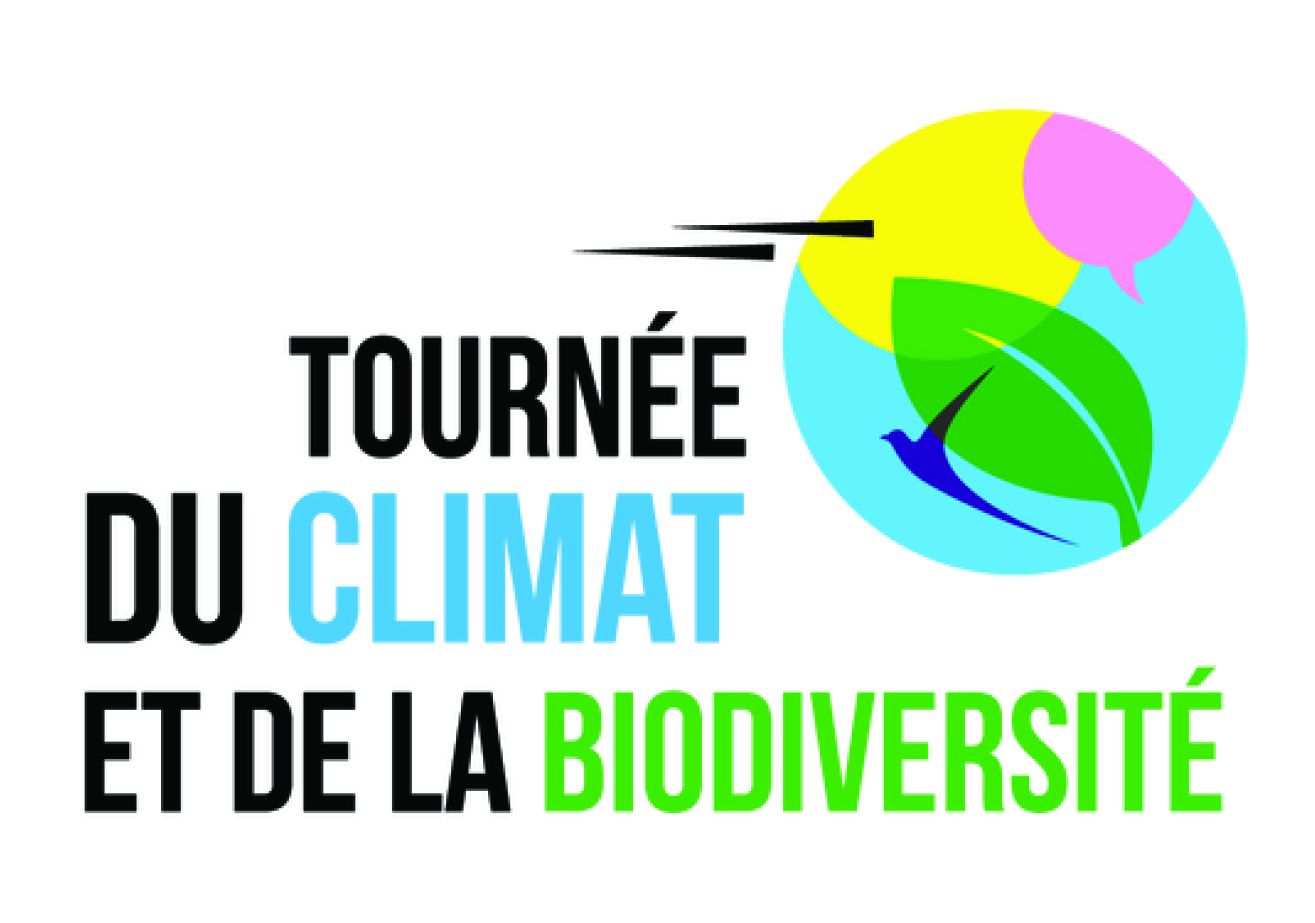 TDCB LOGO