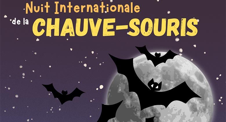 Chauve-souris_AGENDA_2025
