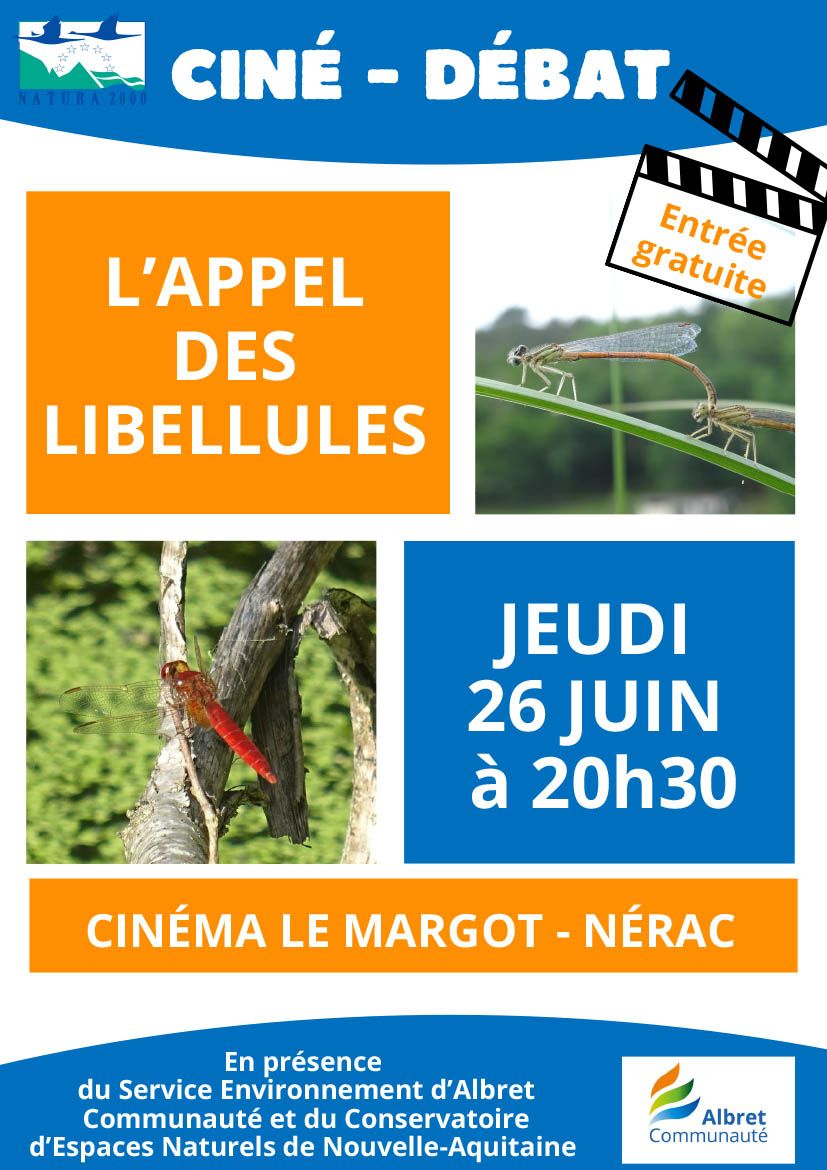 Libellules