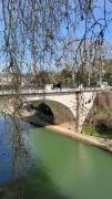 Baise-et-pont-neuf-vus-des-platanes-Avril-22-D-Lohinski