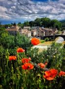Les-coquelicots-de-Nerac-YLeCoupanec