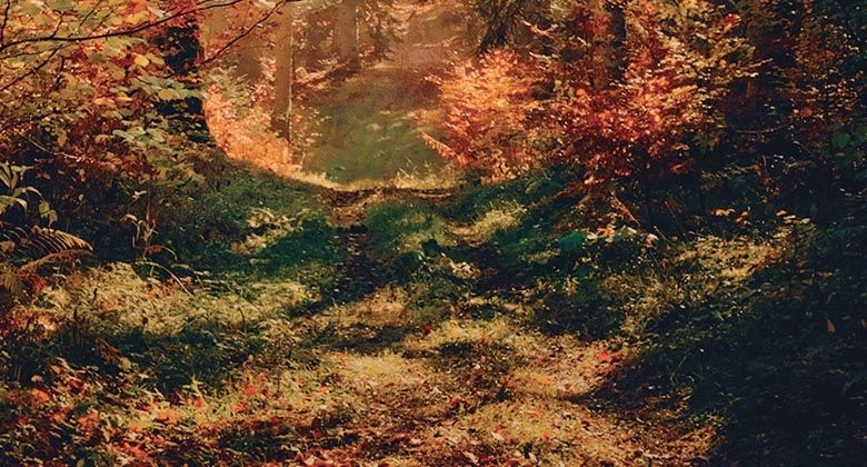 Automne_HopeJeremyFrey_AGENDA