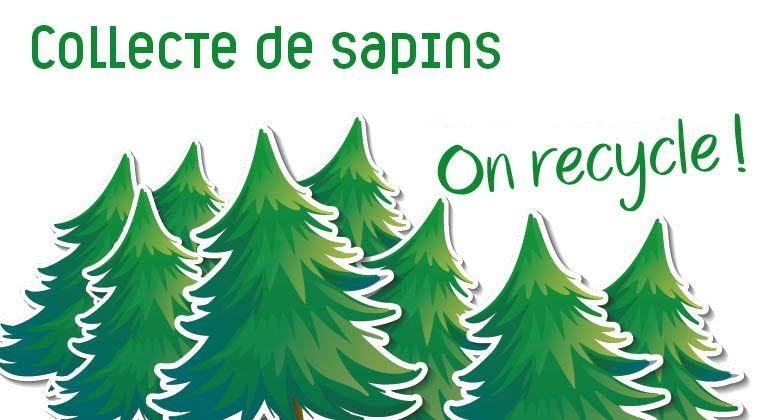 Collecte_sapin_2026_agenda