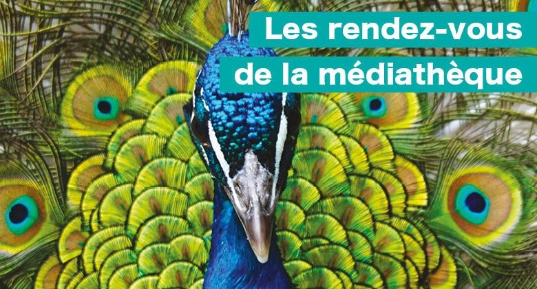 RDV_MYC_JM2026_AGENDA